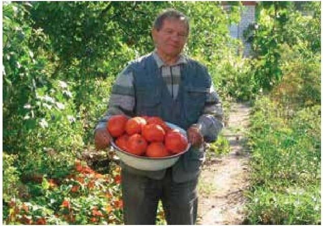 Рабочий календарь дачника, или Рабочие будни на даче Рабочий календарь дачника, или Рабочие будни на даче