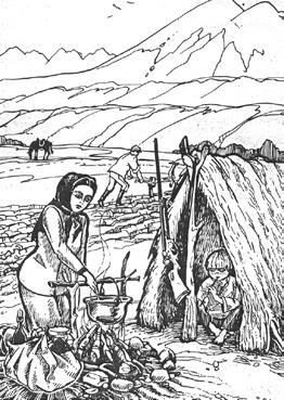 Штурм Грозного. Анатомия истории терцев Уцененный товар (№1) Штурм Грозного. Анатомия истории терцев Уцененный товар (№1)