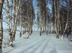 Ох, охота! Ох, охота!