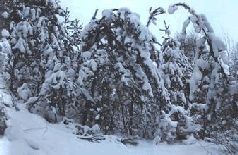 Ох, охота! Ох, охота!
