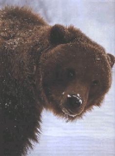 Ох, охота! Ох, охота!