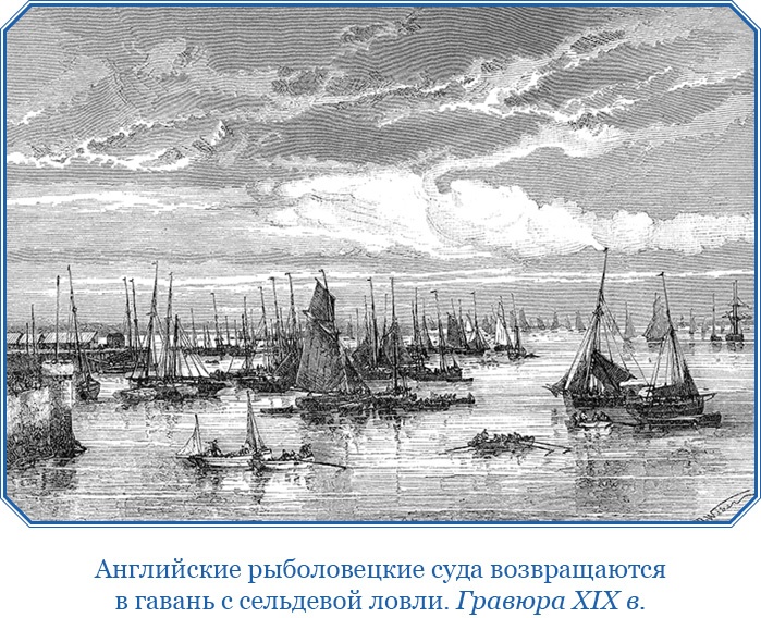 Открытие Антарктиды Открытие Антарктиды