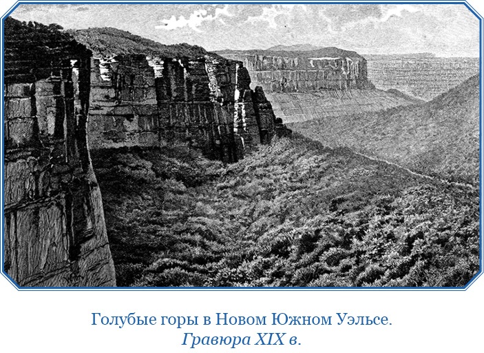 Открытие Антарктиды Открытие Антарктиды