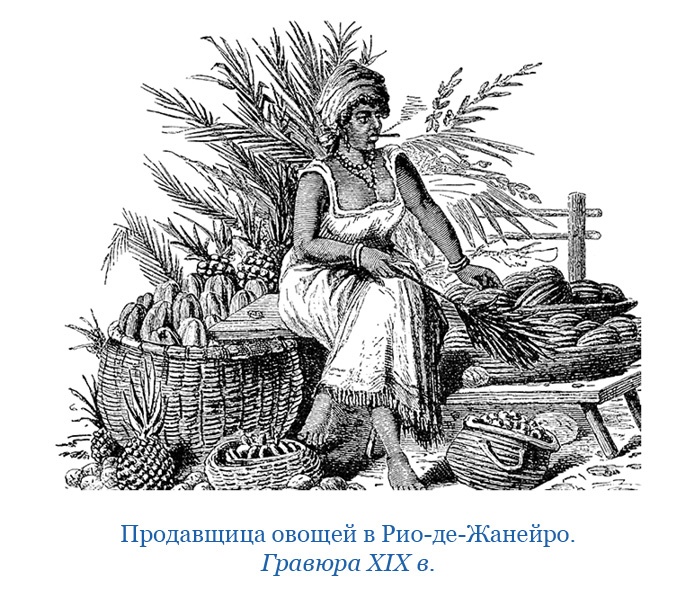 Открытие Антарктиды Открытие Антарктиды