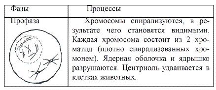 Как достичь надежности в близких отношениях и уверенности в себе Как достичь надежности в близких отношениях и уверенности в себе