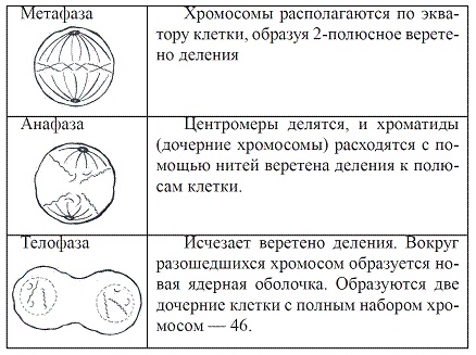 Как достичь надежности в близких отношениях и уверенности в себе Как достичь надежности в близких отношениях и уверенности в себе