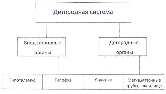 Как достичь надежности в близких отношениях и уверенности в себе Как достичь надежности в близких отношениях и уверенности в себе