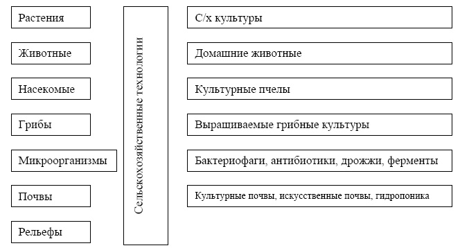 "Дикие карты" будущего. Форс-мажор для человечества "Дикие карты" будущего. Форс-мажор для человечества
