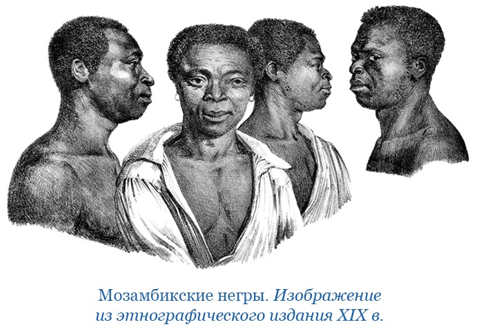 Путешествие в Индию Путешествие в Индию