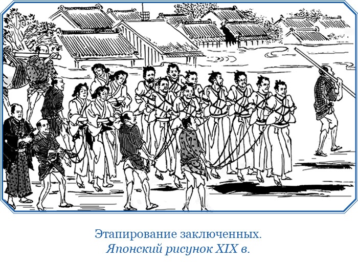 Записки капитана флота Записки капитана флота