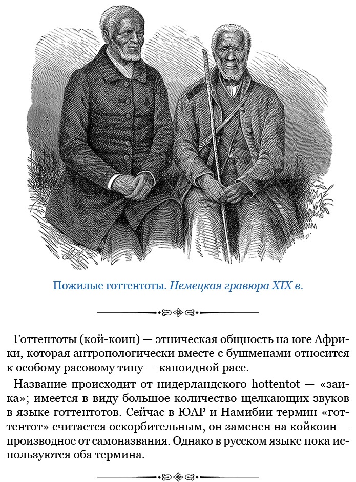 Фрегат «Паллада» Фрегат «Паллада»