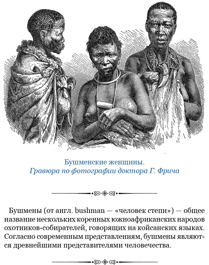 Фрегат «Паллада» Фрегат «Паллада»