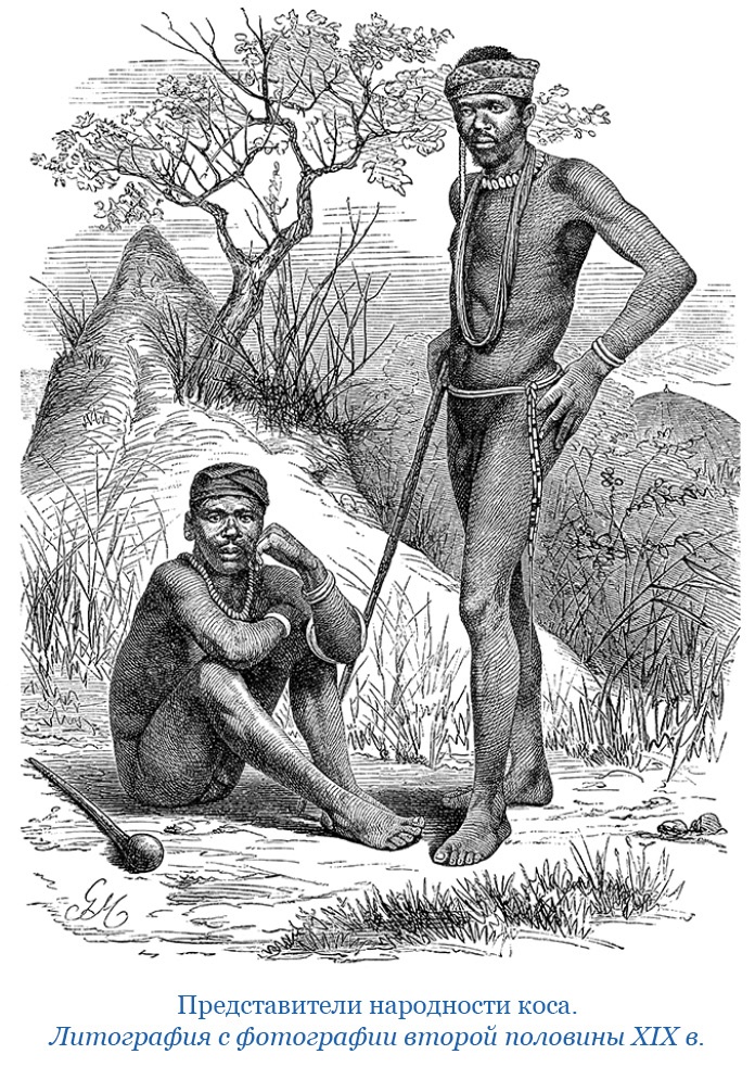 Фрегат «Паллада» Фрегат «Паллада»