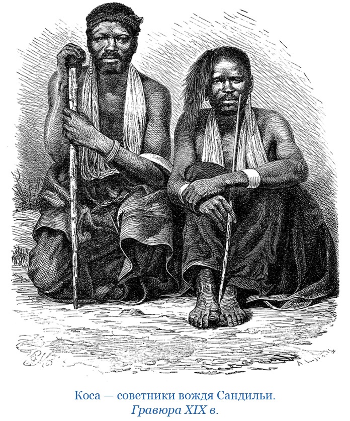 Фрегат «Паллада» Фрегат «Паллада»