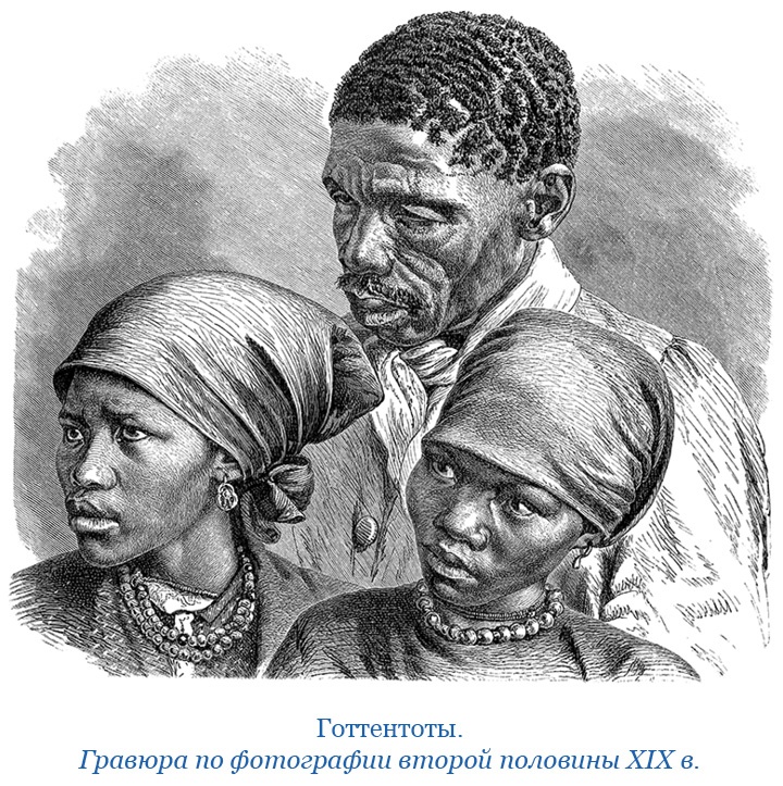 Фрегат «Паллада» Фрегат «Паллада»