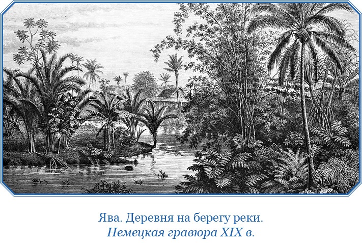 Фрегат «Паллада» Фрегат «Паллада»