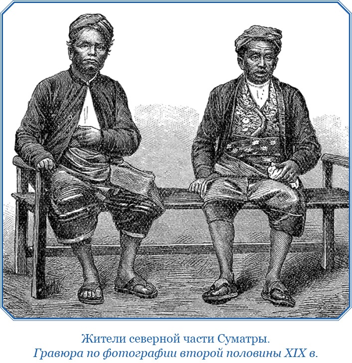 Фрегат «Паллада» Фрегат «Паллада»