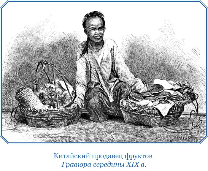 Фрегат «Паллада» Фрегат «Паллада»