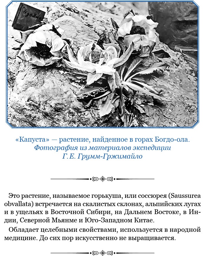По ступеням «Божьего трона» По ступеням «Божьего трона»