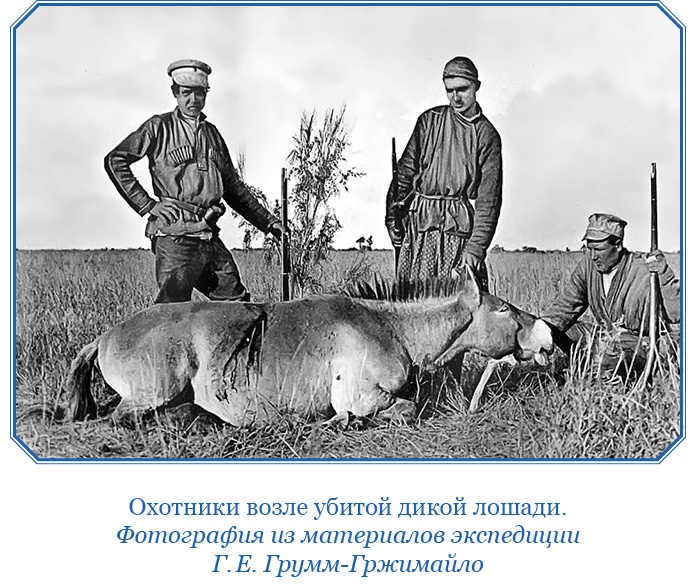 По ступеням «Божьего трона» По ступеням «Божьего трона»