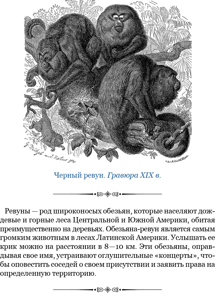 Второе открытие Америки Второе открытие Америки