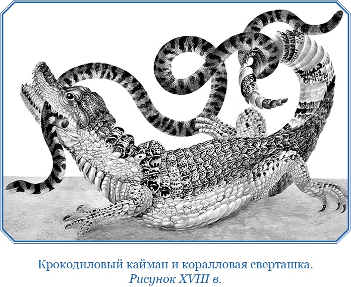 Второе открытие Америки Второе открытие Америки