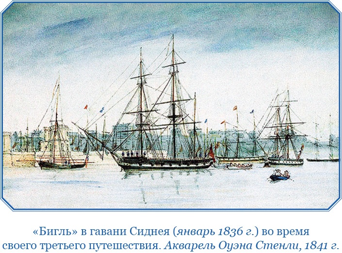 Путешествие вокруг света на корабле «Бигль» Путешествие вокруг света на корабле «Бигль»