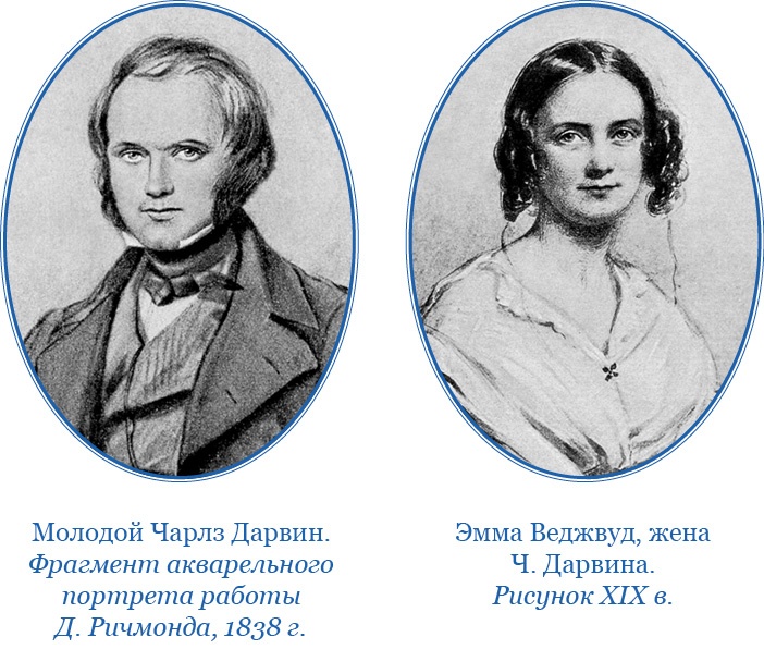 Путешествие вокруг света на корабле «Бигль» Путешествие вокруг света на корабле «Бигль»