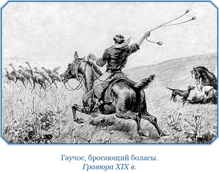 Путешествие вокруг света на корабле «Бигль» Путешествие вокруг света на корабле «Бигль»