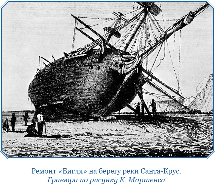 Путешествие вокруг света на корабле «Бигль» Путешествие вокруг света на корабле «Бигль»