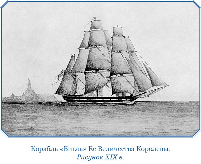 Путешествие вокруг света на корабле «Бигль» Путешествие вокруг света на корабле «Бигль»