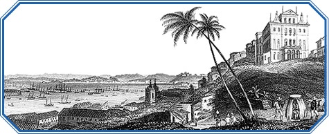 Путешествие вокруг света на корабле «Бигль» Путешествие вокруг света на корабле «Бигль»