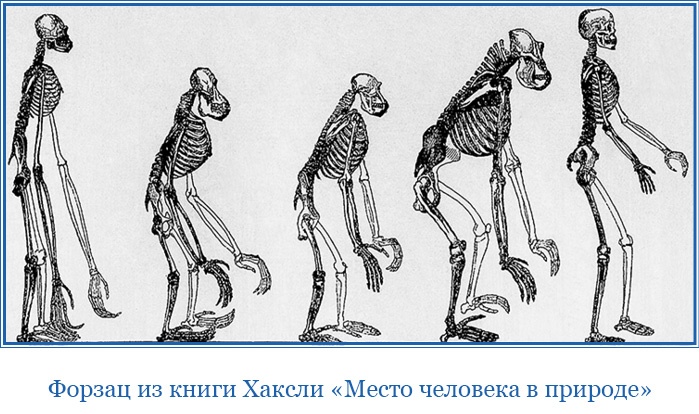Путешествие вокруг света на корабле «Бигль» Путешествие вокруг света на корабле «Бигль»