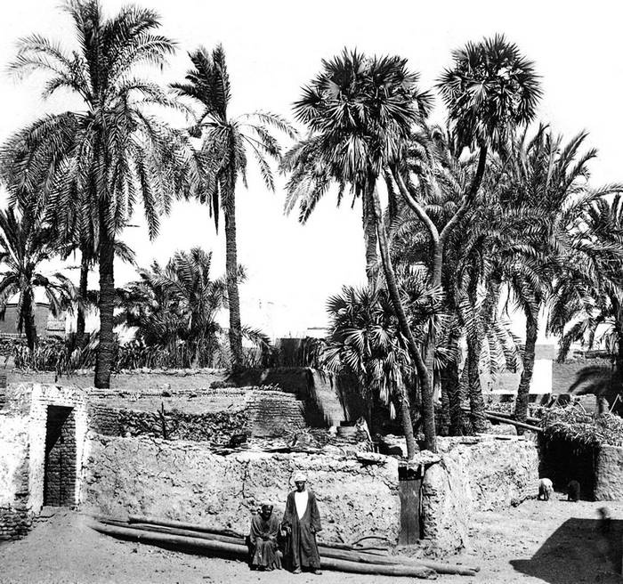 Конец Великолепного века, или Загадки последних невольниц Востока Конец Великолепного века, или Загадки последних невольниц Востока