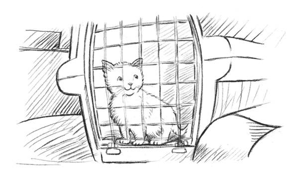 Энджел. Котенок обретает дом Энджел. Котенок обретает дом