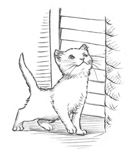 Энджел. Котенок обретает дом Энджел. Котенок обретает дом