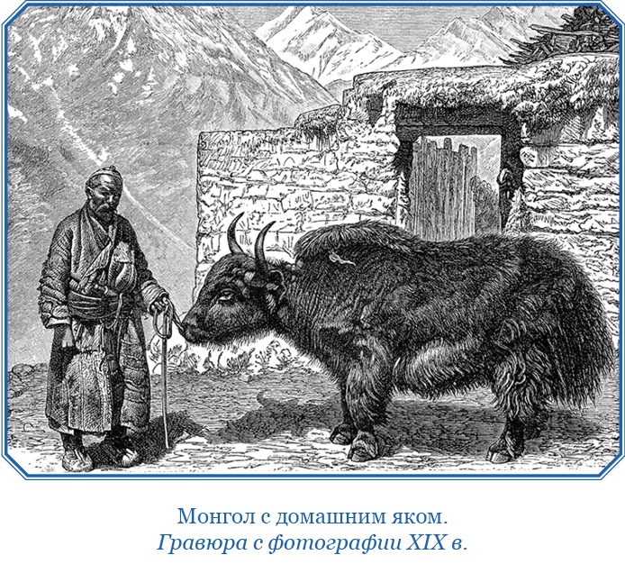 Тибет и Далай-лама. Мертвый город Хара-Хото Тибет и Далай-лама. Мертвый город Хара-Хото