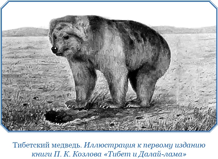 Тибет и Далай-лама. Мертвый город Хара-Хото Тибет и Далай-лама. Мертвый город Хара-Хото