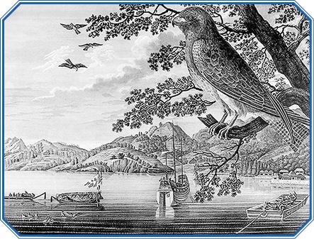 Первое российское плавание вокруг света Первое российское плавание вокруг света