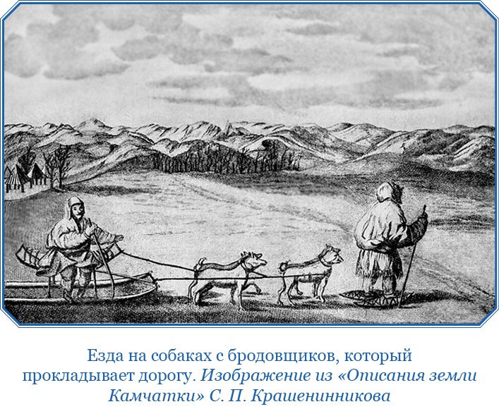 Первое российское плавание вокруг света Первое российское плавание вокруг света