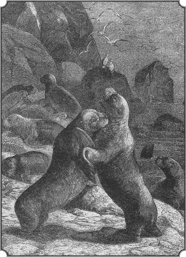 Путешествие по всему миру на "Буссоли" и "Астролябии" Путешествие по всему миру на "Буссоли" и "Астролябии"