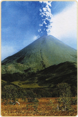 Путешествие по всему миру на "Буссоли" и "Астролябии" Путешествие по всему миру на "Буссоли" и "Астролябии"