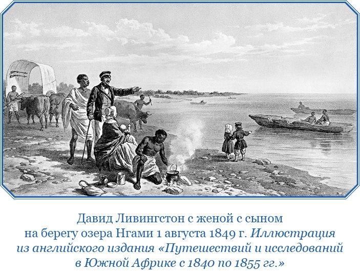 Дневники исследователя Африки Дневники исследователя Африки