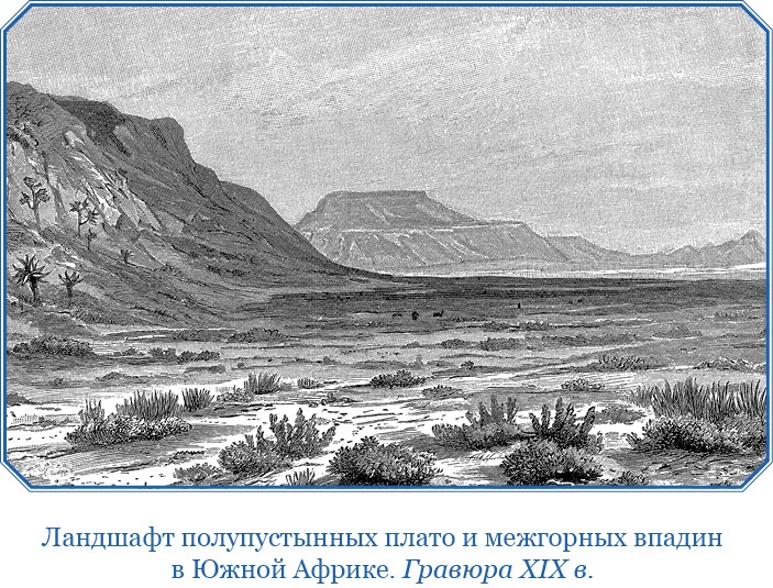 Дневники исследователя Африки Дневники исследователя Африки