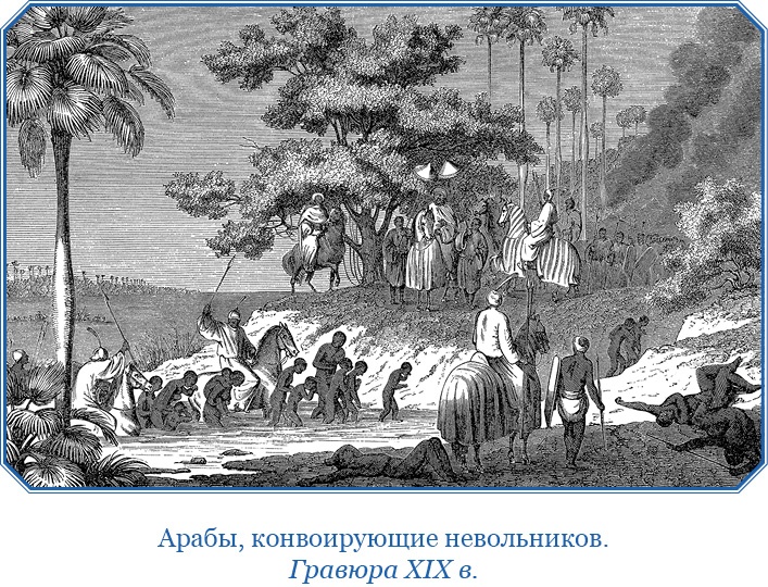 Дневники исследователя Африки Дневники исследователя Африки