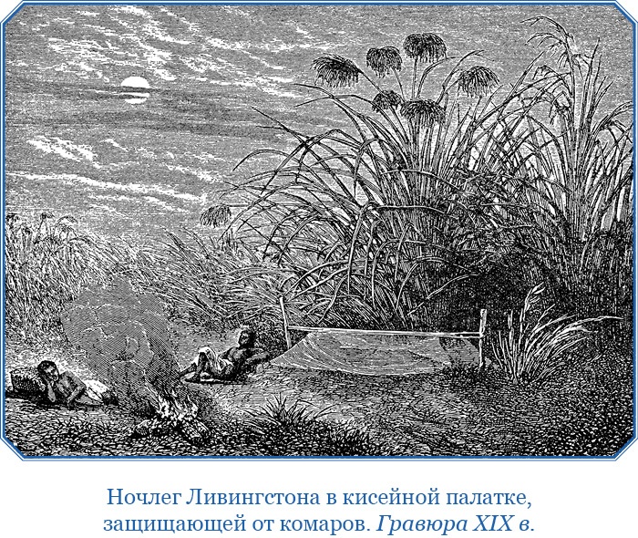 Дневники исследователя Африки Дневники исследователя Африки