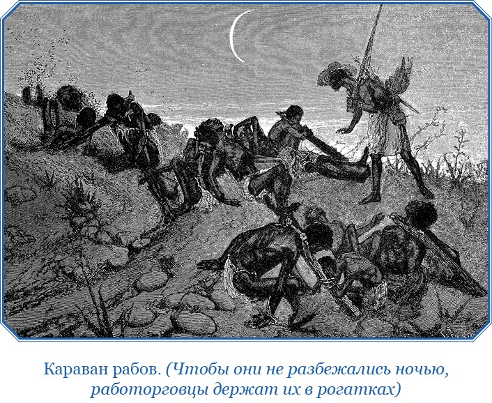 Дневники исследователя Африки Дневники исследователя Африки