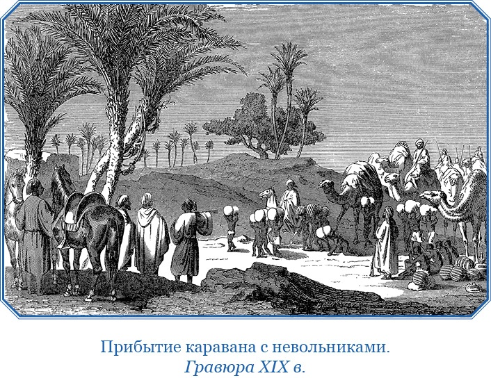 Дневники исследователя Африки Дневники исследователя Африки