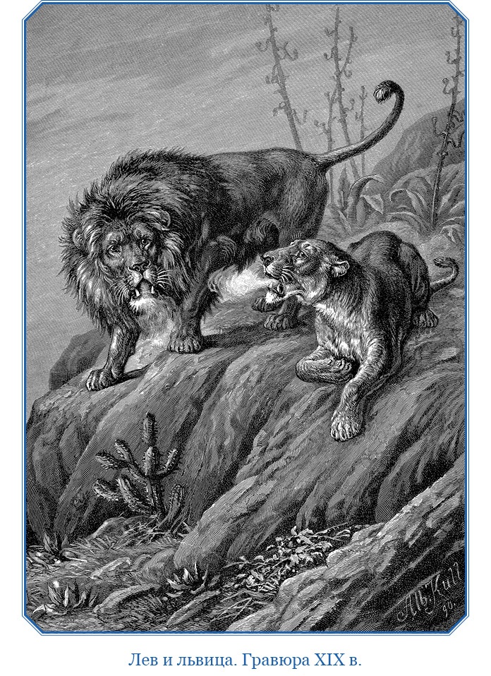 Дневники исследователя Африки Дневники исследователя Африки