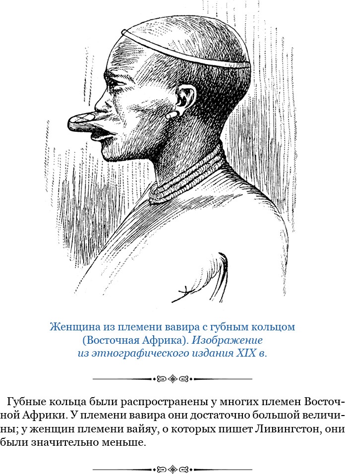 Дневники исследователя Африки Дневники исследователя Африки